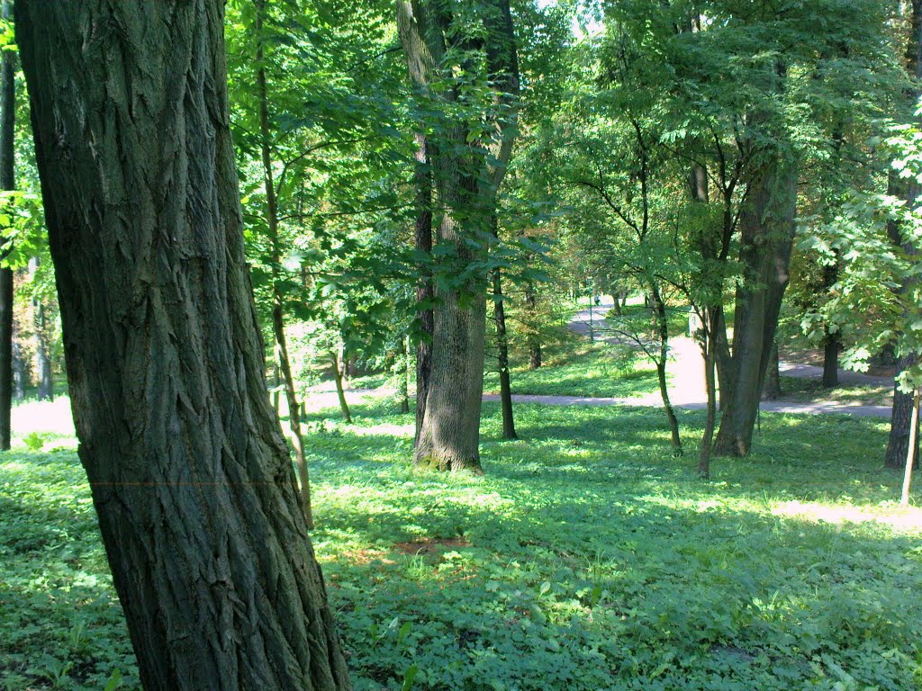 Kraków Swoszowice - spa park by wuhazet