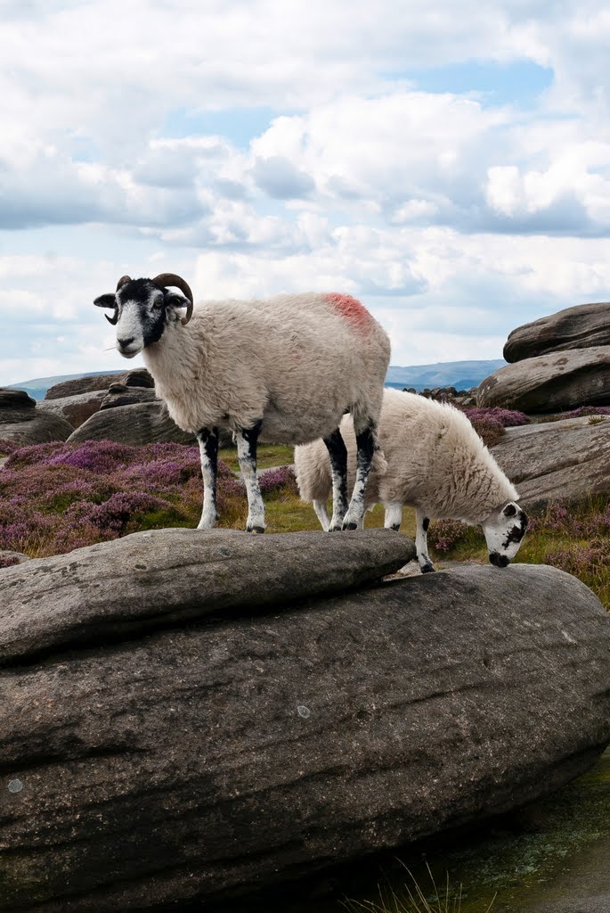 Higger Tor - August 2010 by redgod9