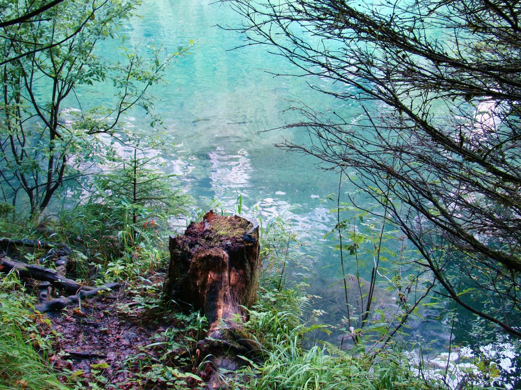 The turquoise colored water of the Blausee ....... (crossing the Alps in 8 days .. 2nd day) by Obydias