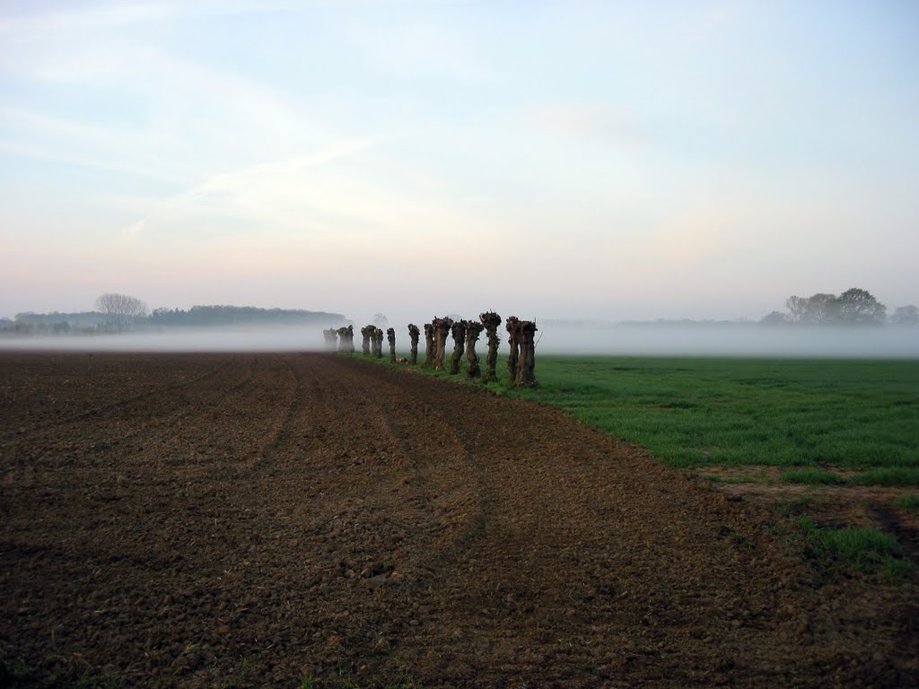 Frühjahr an der Liesborner Straße by lovelt