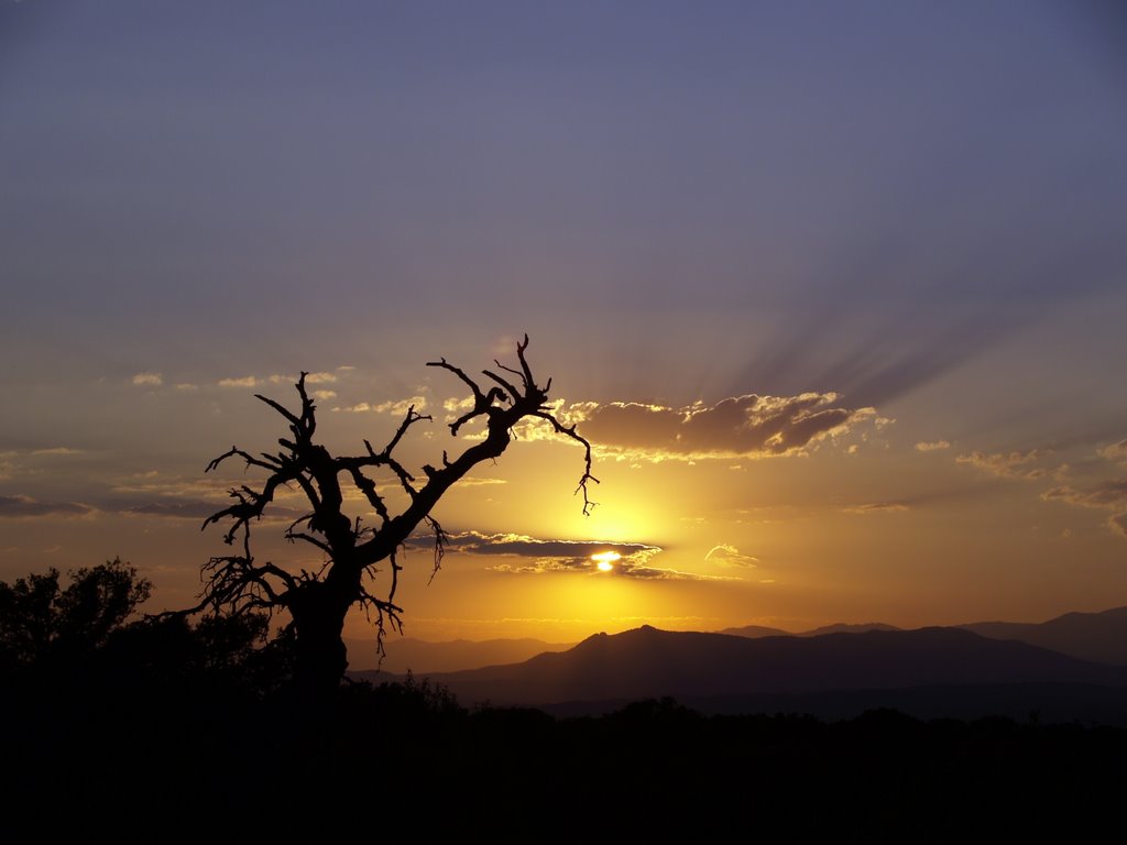 Atardecer cerca de La torre de Esteban Hambran by Espartero