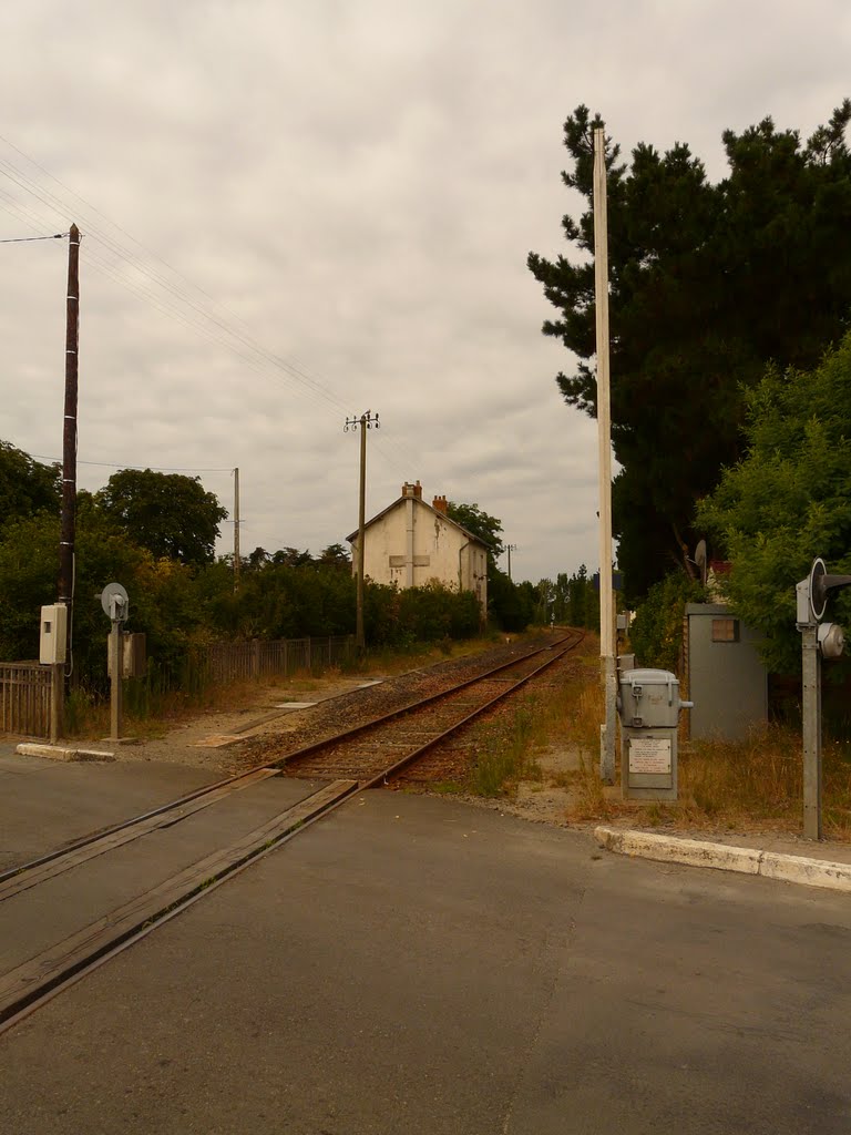 Gare de Notre Dame de Riez by Nicolas Aubé