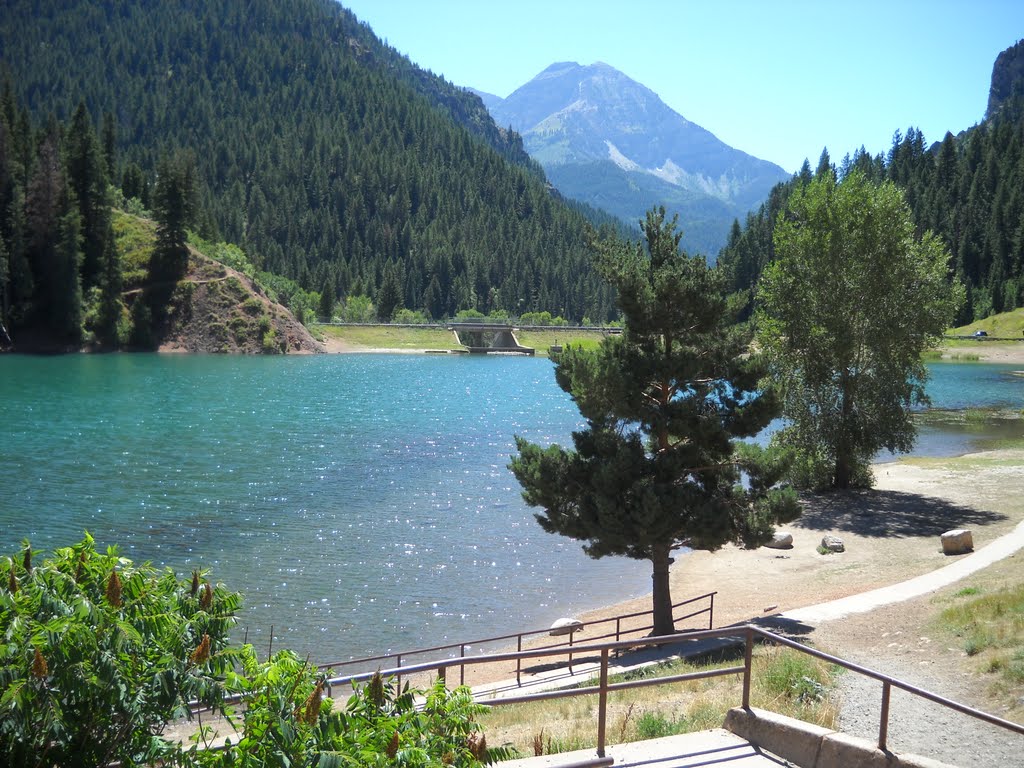 Tibble Fork by bcary61