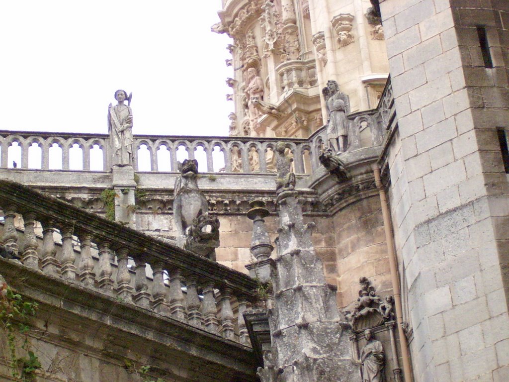 Catedral de Burgos by Trichita