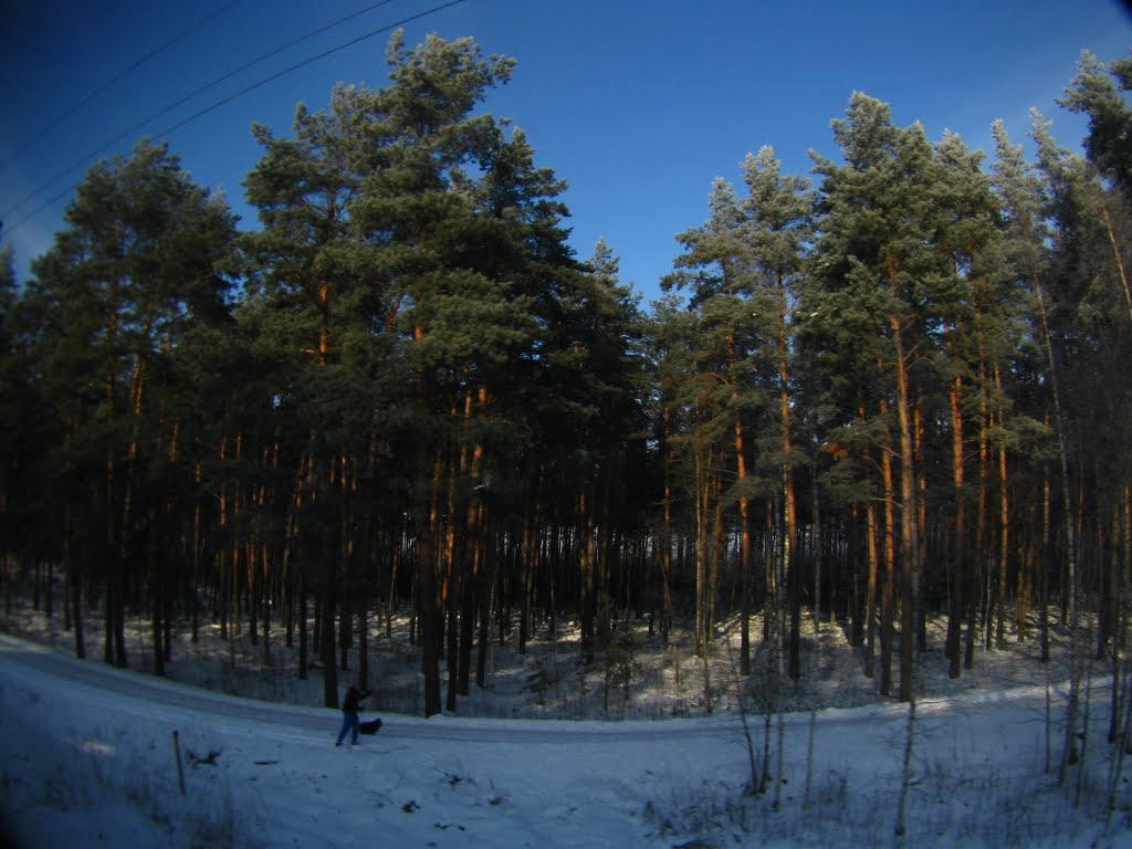 Winter 2010 by Dmitrijs Purgalvis