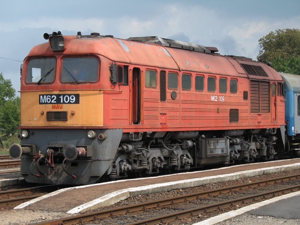 Hungarian diesel engine "M62 109" on Gyula railway station by Tokai Attila