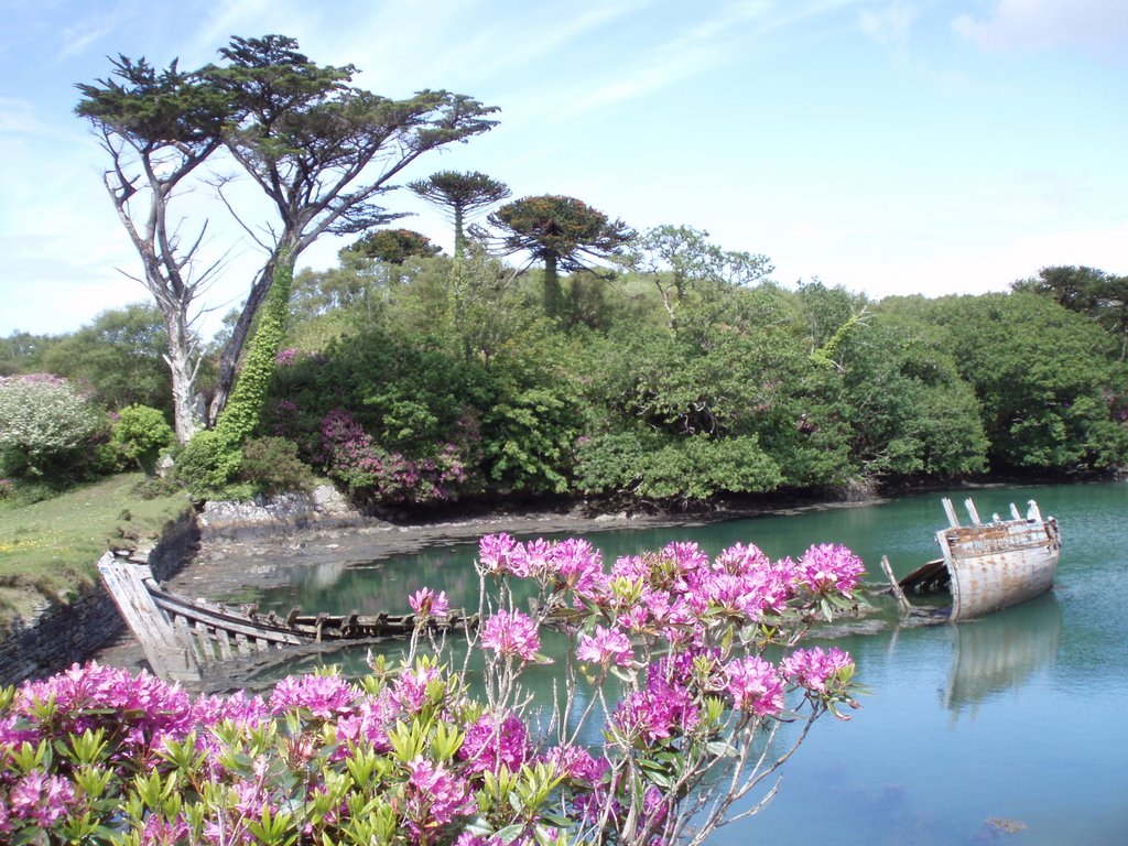 Old Ship at Dunboy Castle by Philther