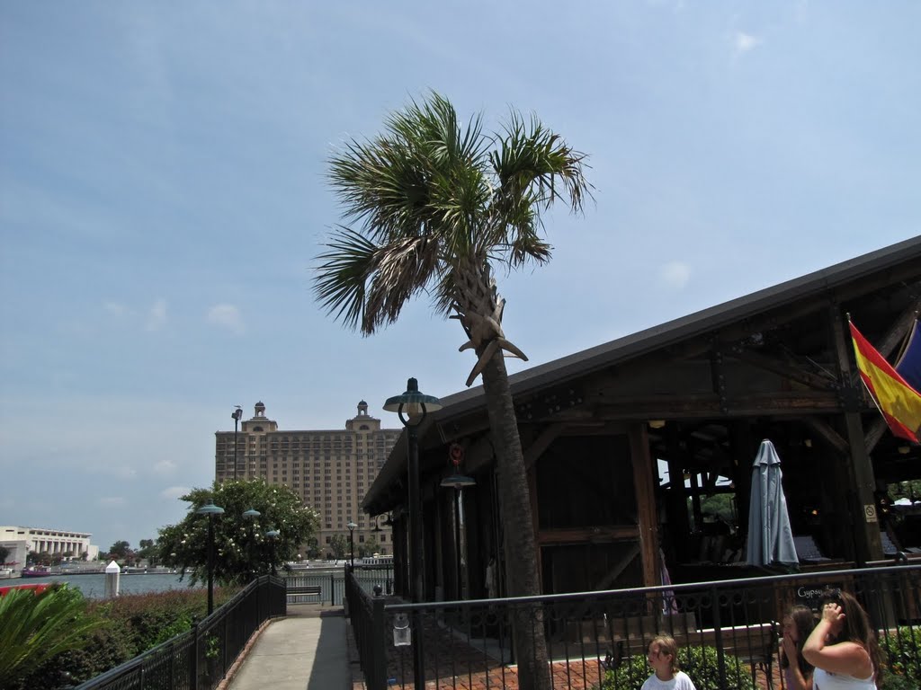 Westin Savannah Harbor Golf Resort & Spa (Savannah, GA) by Kalin Ranchev