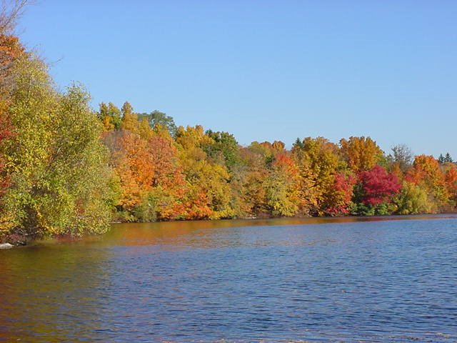 Fall on Middle Branch Reservoir Looking North from Maple Rd by Dennis Orzo