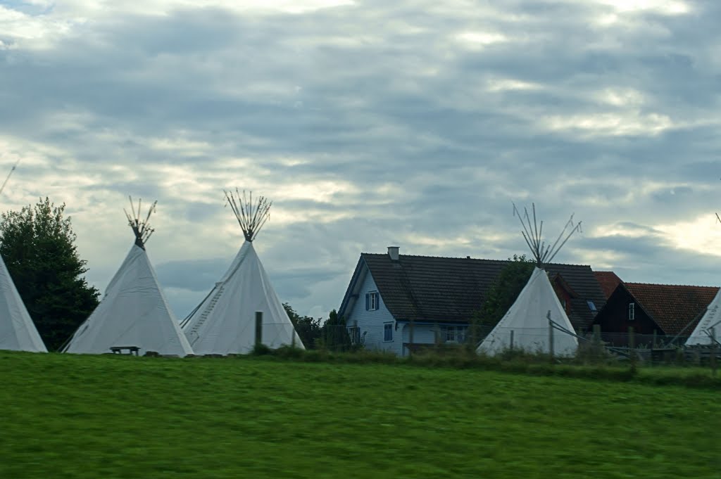 Settlement symbiosis by ©ssi