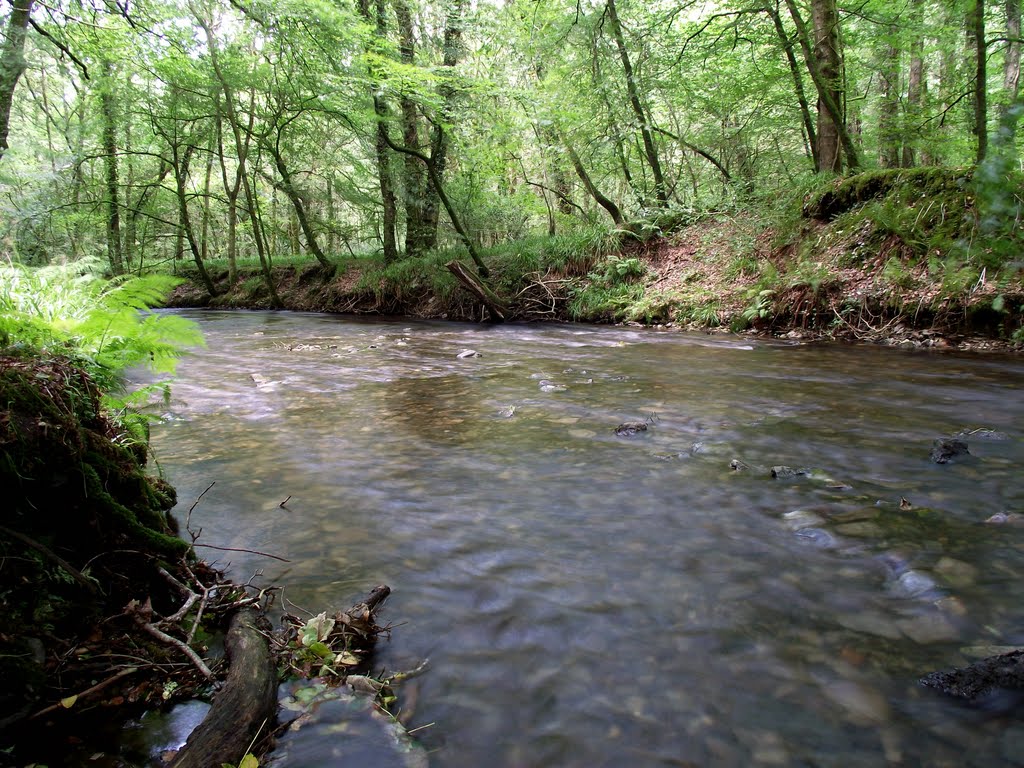 Lydford Gorge by Andrew(ollie)Johnson