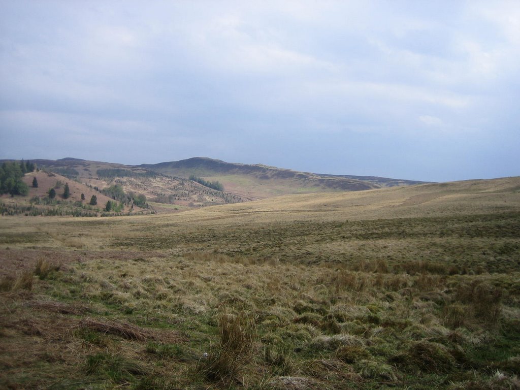 Menteith Hills - Nearby Forrest Edge by A3jaan