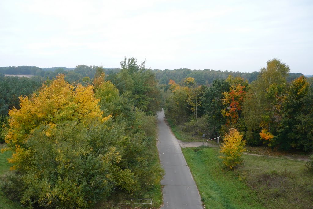 Am Elbeseitenkanal, Ebensberg by mp-lueneburg