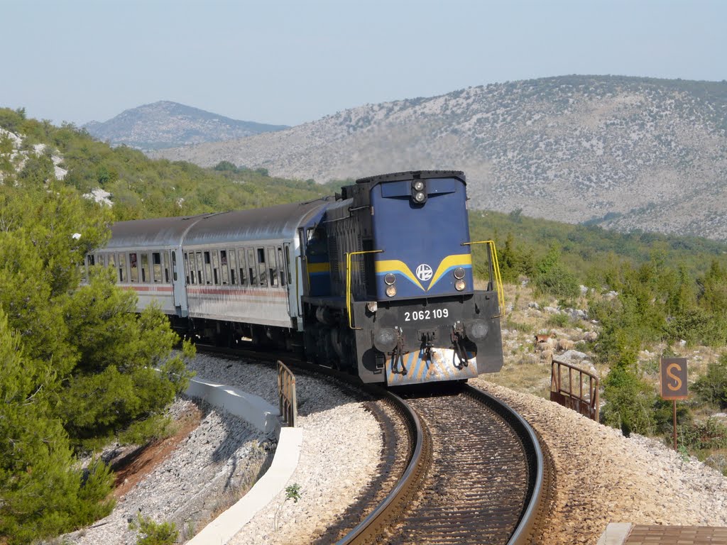 5503 arriving to Preslo by LoBéla