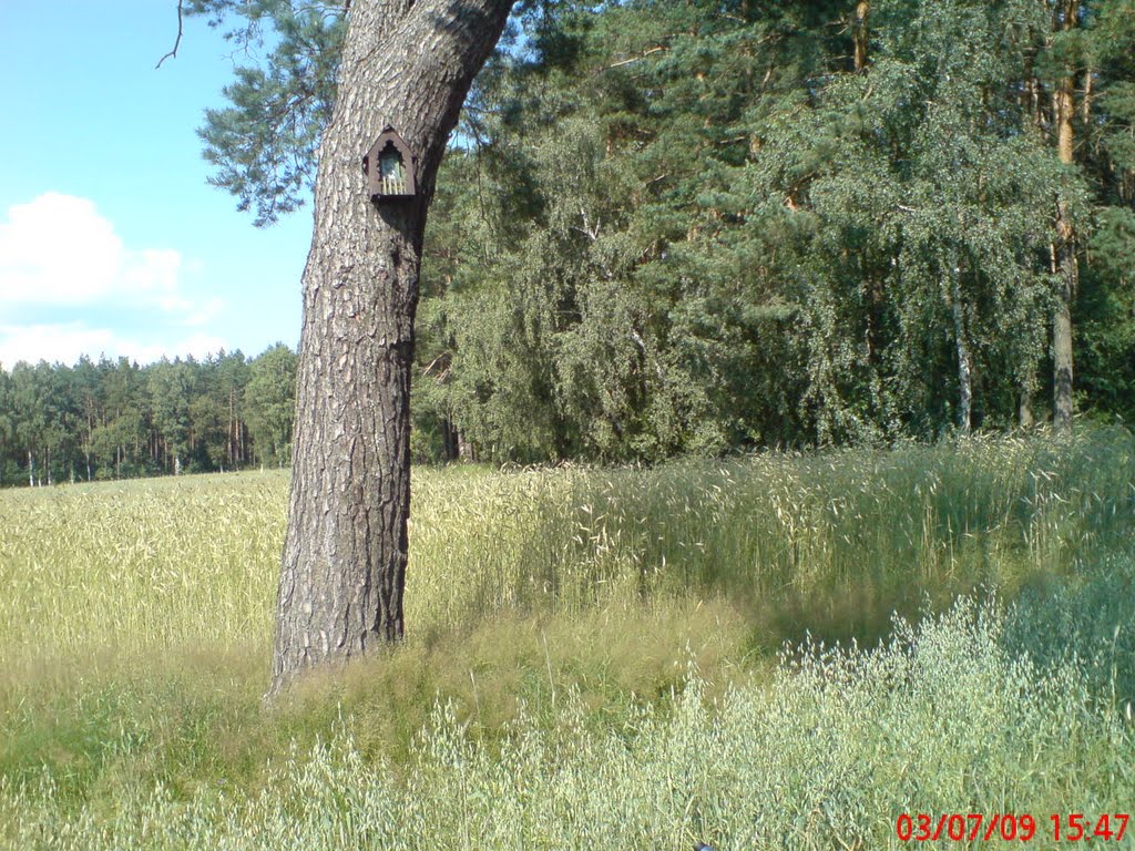 Kapliczka na sośnie by agadam