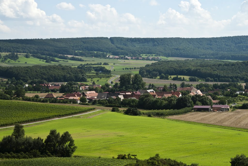 Am Steigerwald - Kammerforst by Senkbeil