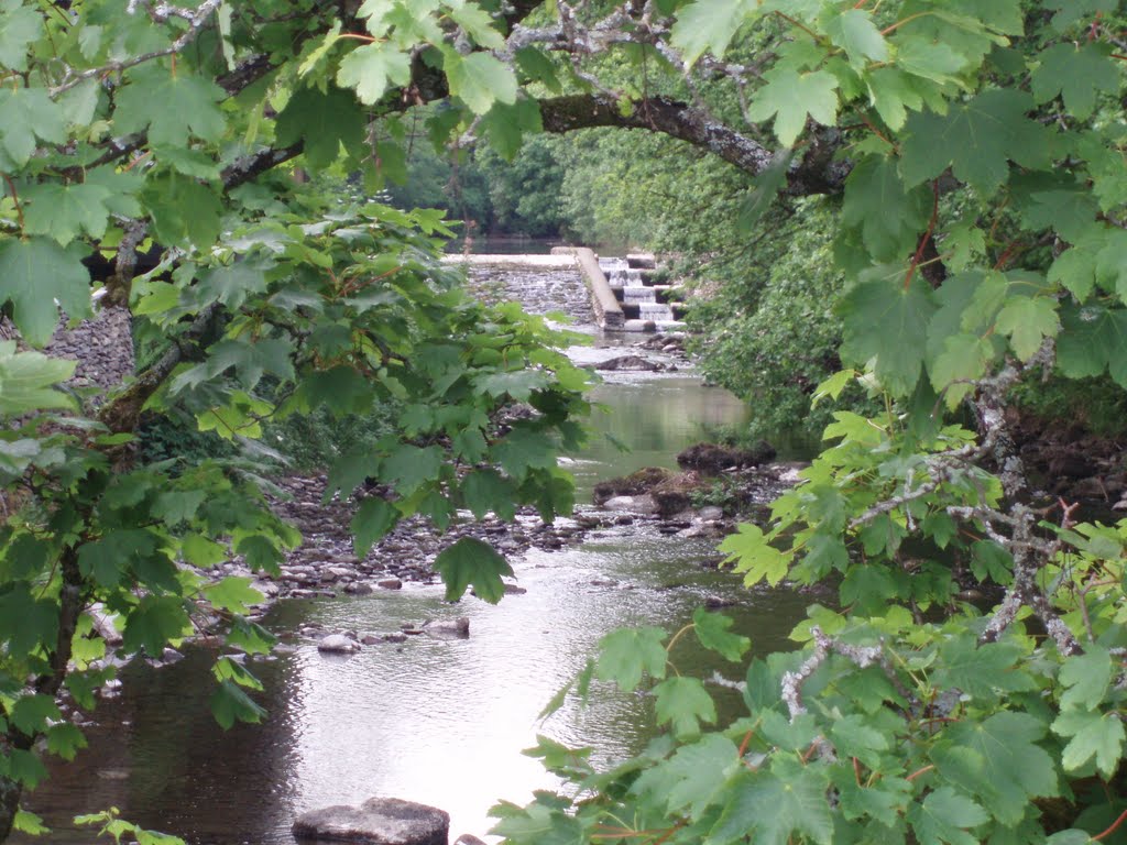 River Kent, Staveley by firstflight1