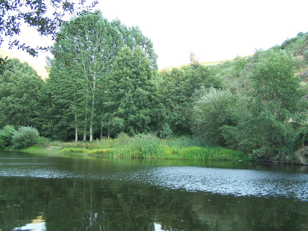 Rio Mente.Praia Fluvial de Segirei. Margem esquerda by Eduardo Morais