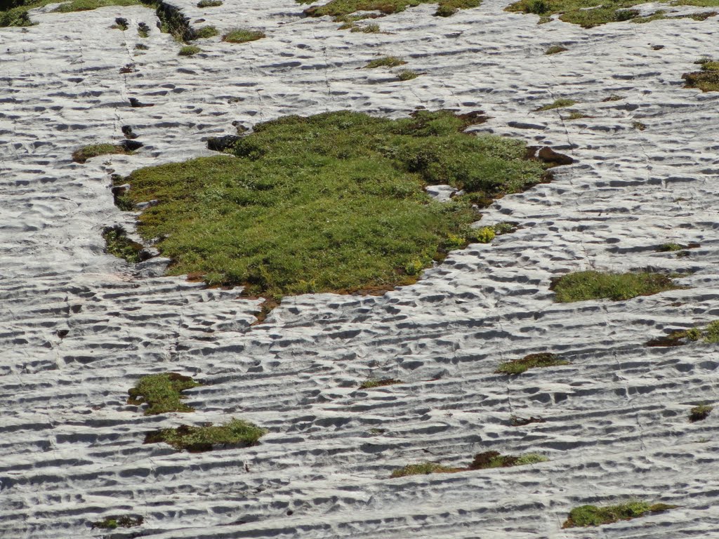 Glattalp, typical structures of karst-rocks by U. Leibundgut (CH)