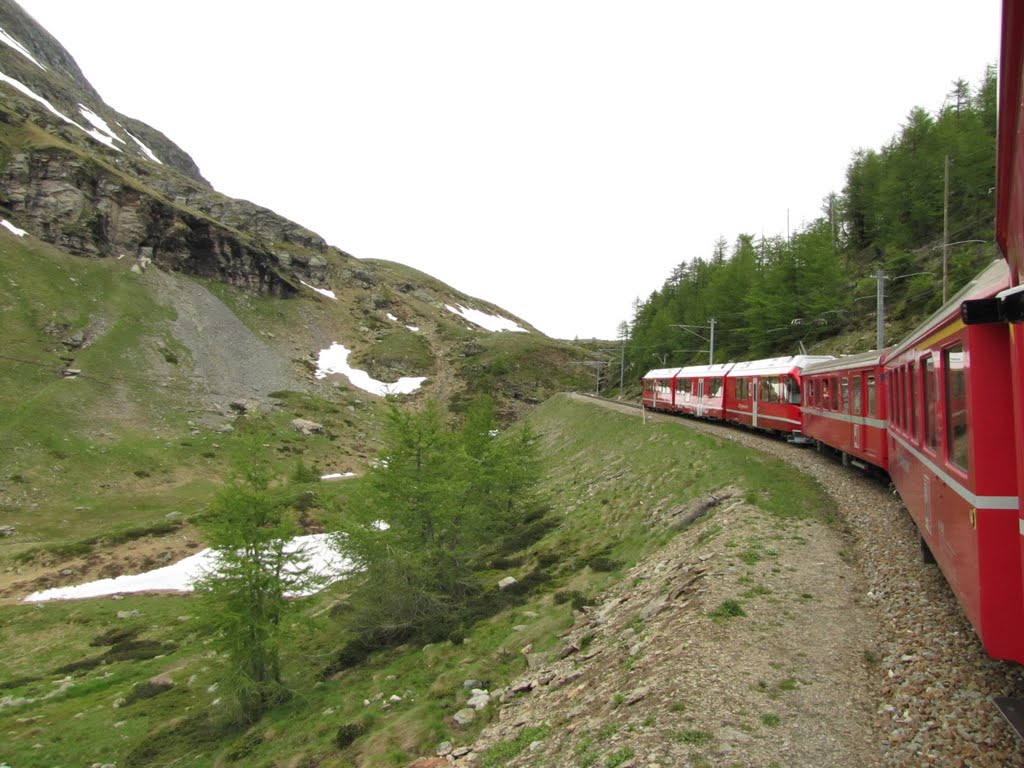 View from the train before the Bernina Pass by Michal Hrubý