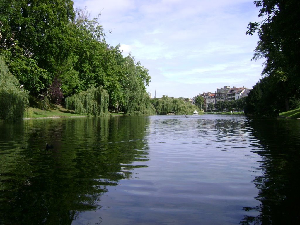 Etangs d ixelles by alexetricardo