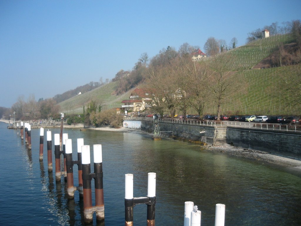 Meersburg - Fähre nach Staad by Anton Ganthaler