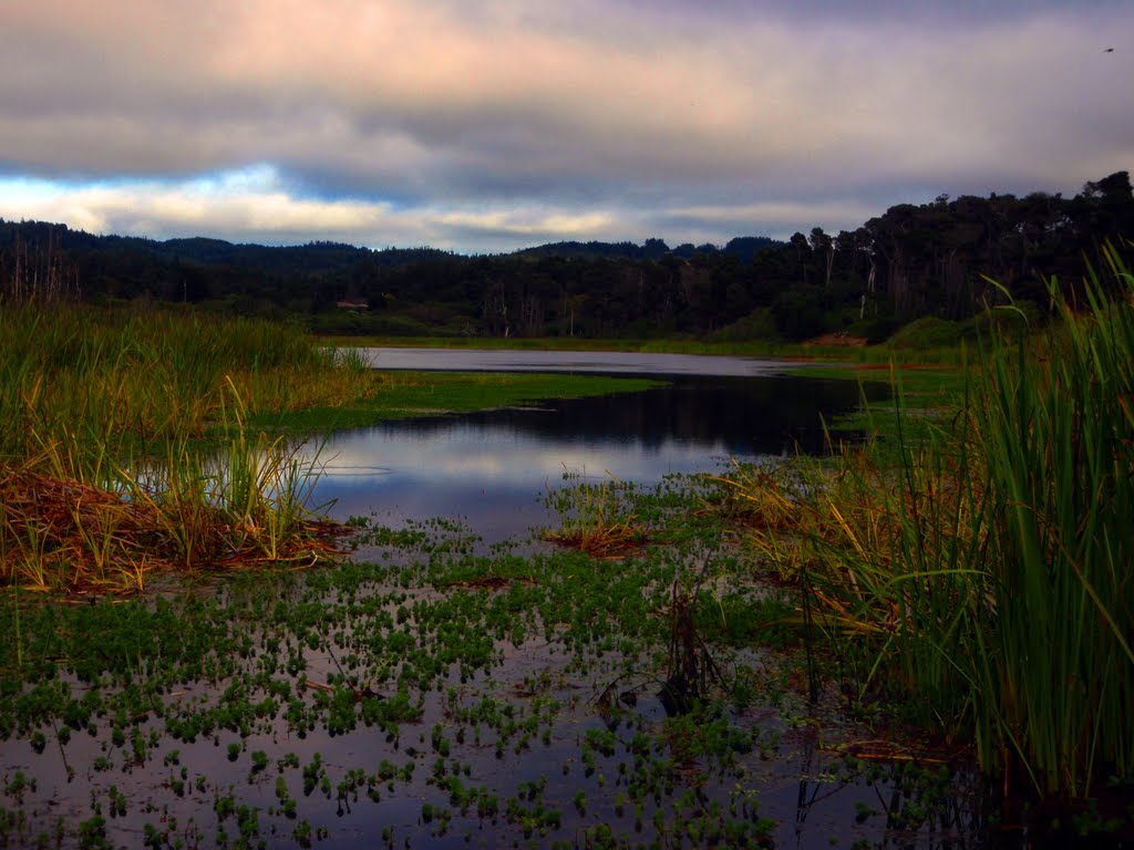 Lake Cleone, MacKerricher State Park by saunan