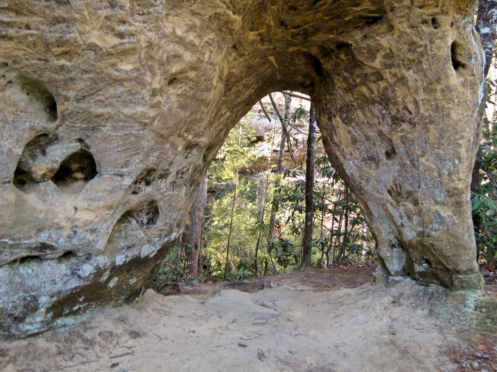 Angel Windows (Red River Gorge, KY). by Kalin Ranchev