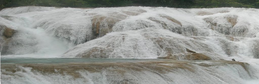 NG019 - Cascades de Agua-Azul (Eaux-bleues) - Halte en allant vers Palenque. by AngeloMussoBe