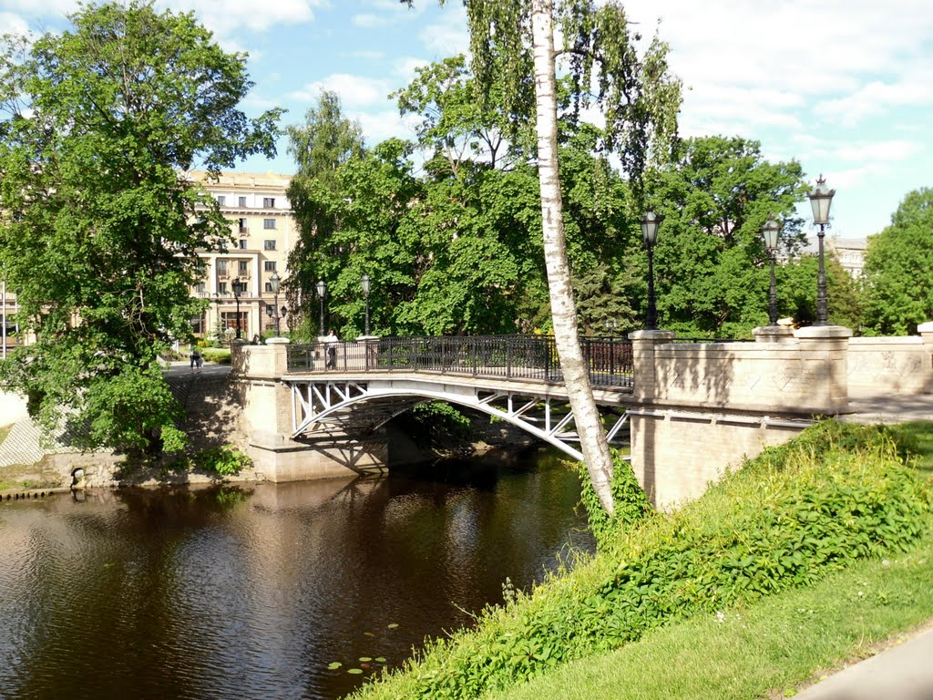 Timms pedestrian bridge by vipe