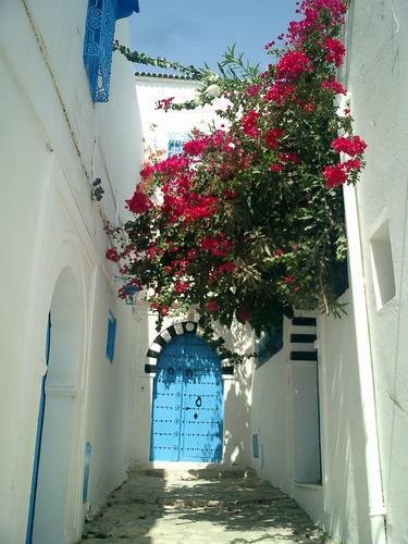 Sidi Bou Said by Steve Palazzi