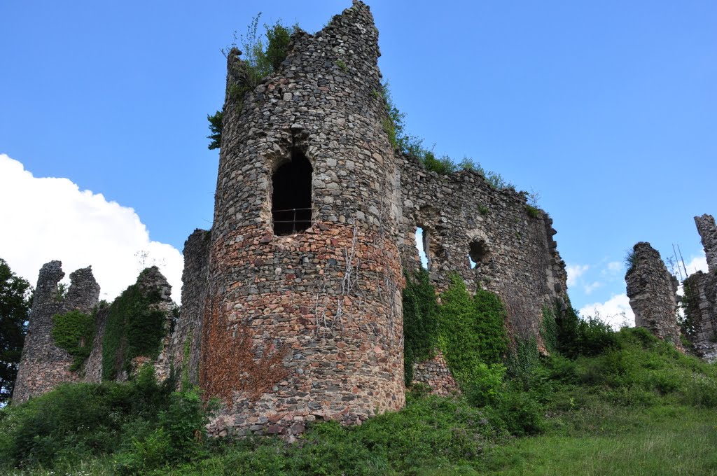 Ruines de Montgilbert by Sietze Kraak