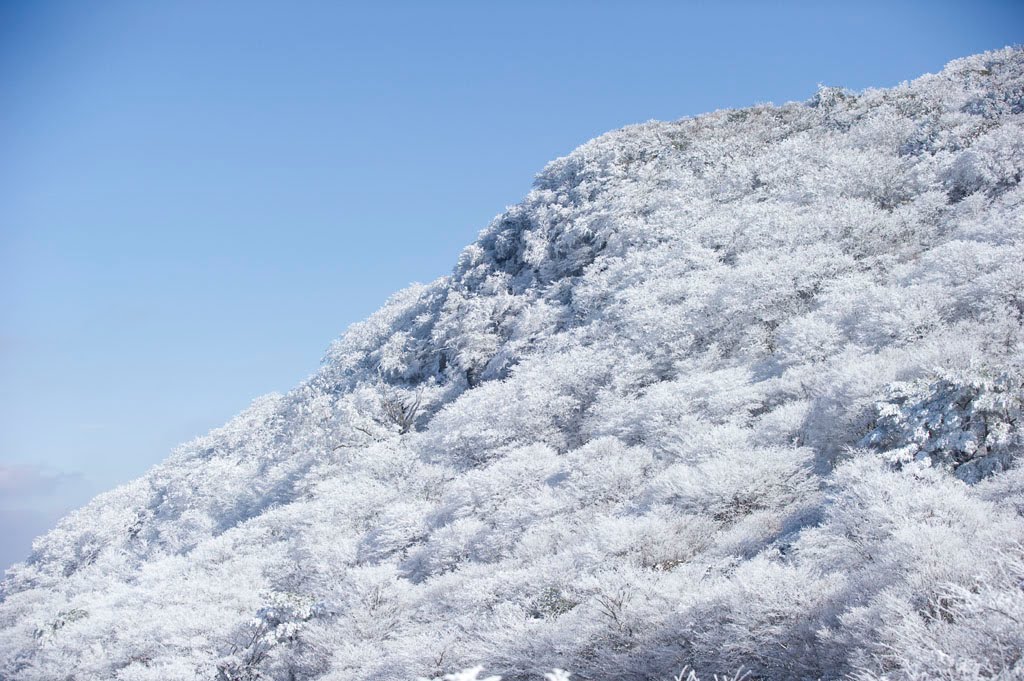 星生山霧氷　Mt.Hossyo Rime by 石津安信