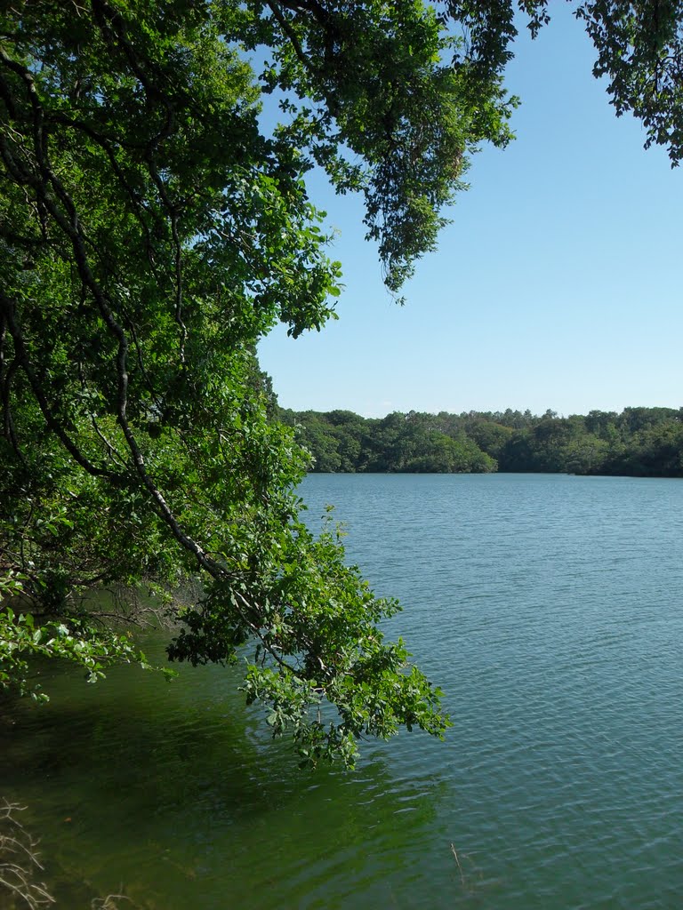 Lac d'yrieu rive nord by david ollagnon