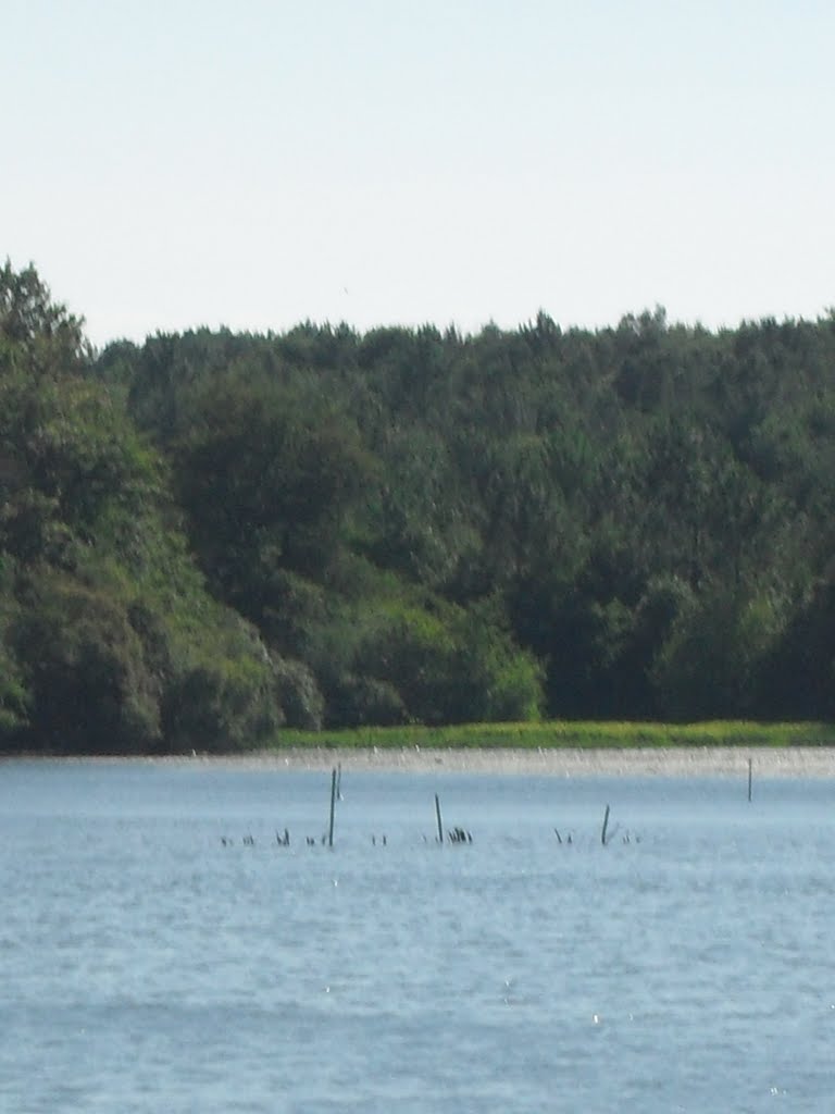 Lac d'yrieu marais sud by david ollagnon