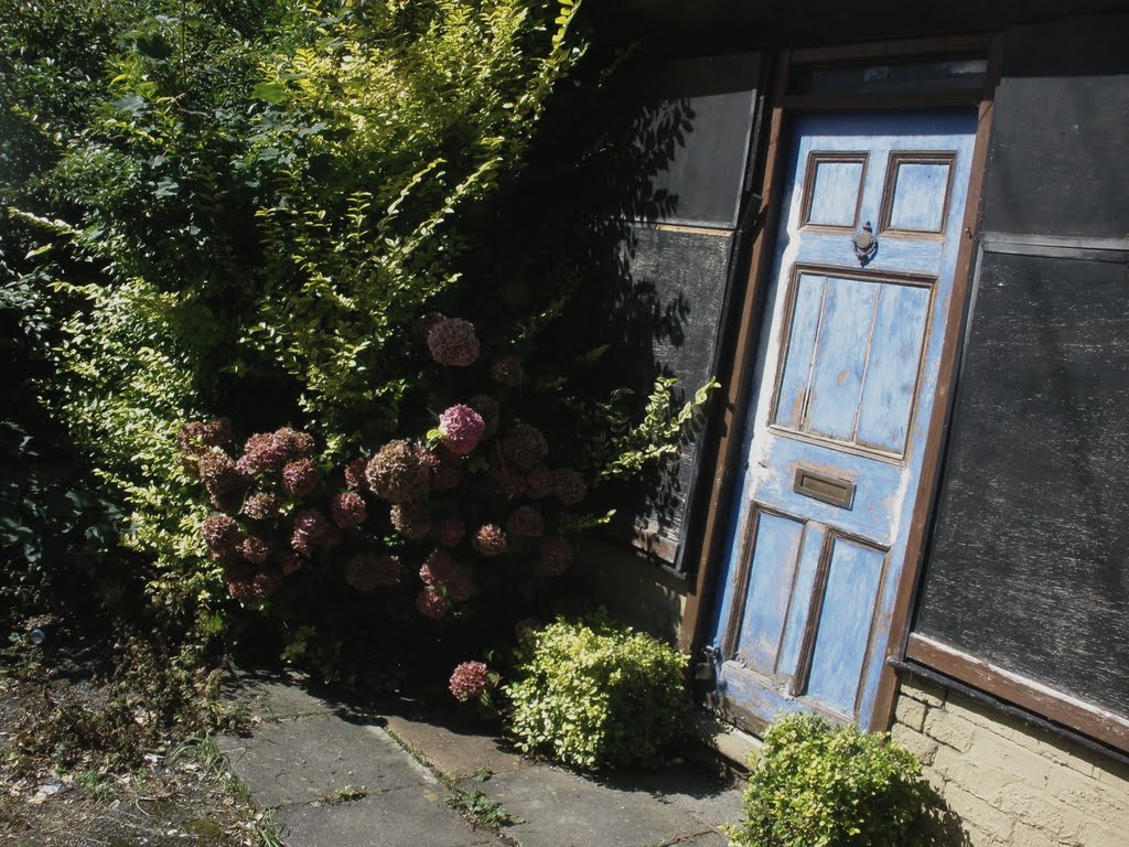 Shed door in Didsbury, Manchester by Dai O'Nysius