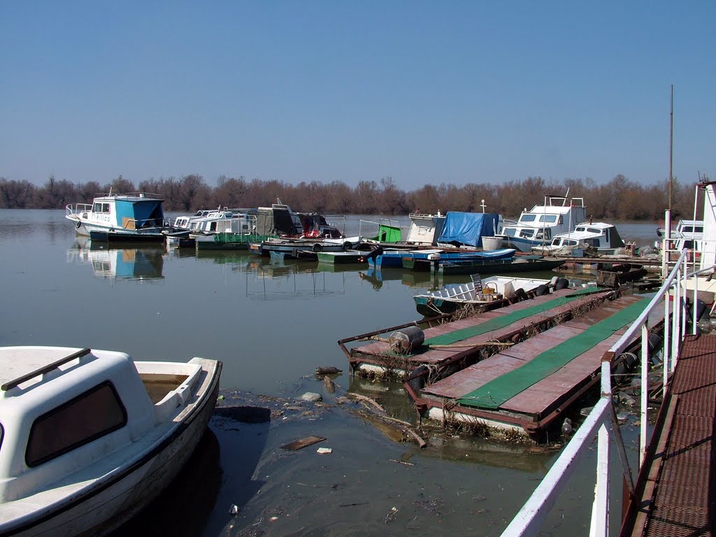 Marina Galija na Dunavu u Višnjici by Teča sa Dunava