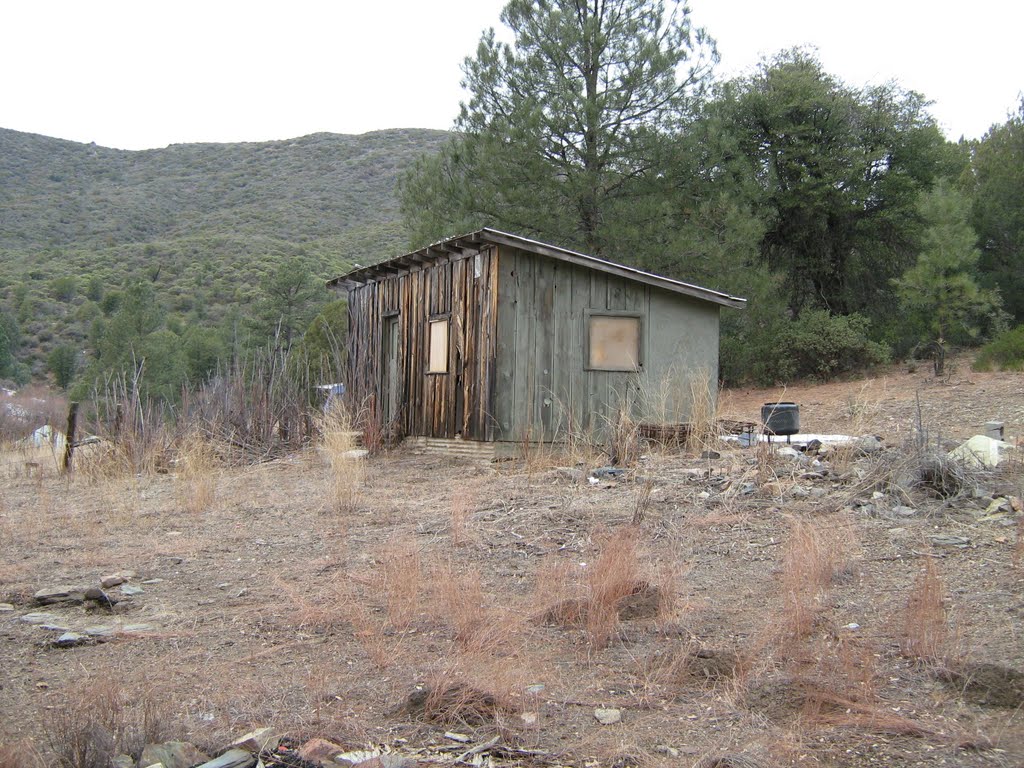 Abandoned Cabin by Zedster