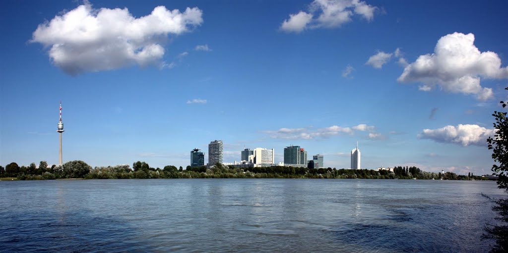 Donau - Turm und City by Boris Ondrasik