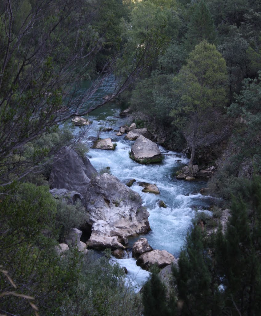 Rio Tajo by isabc