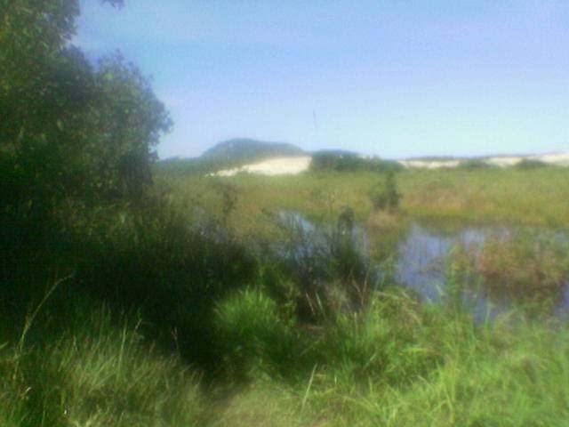 Dunas da Praia do Moçambique - Rio Vermelho - Florianópolis by jubasan7