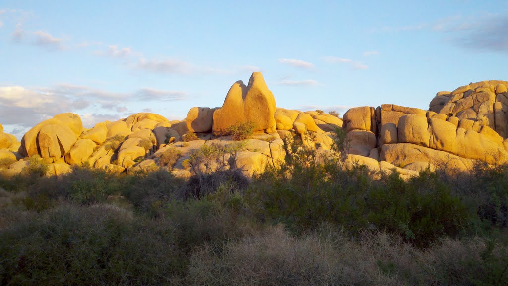 Big Rocks Campground Site 75 by dcrowmik