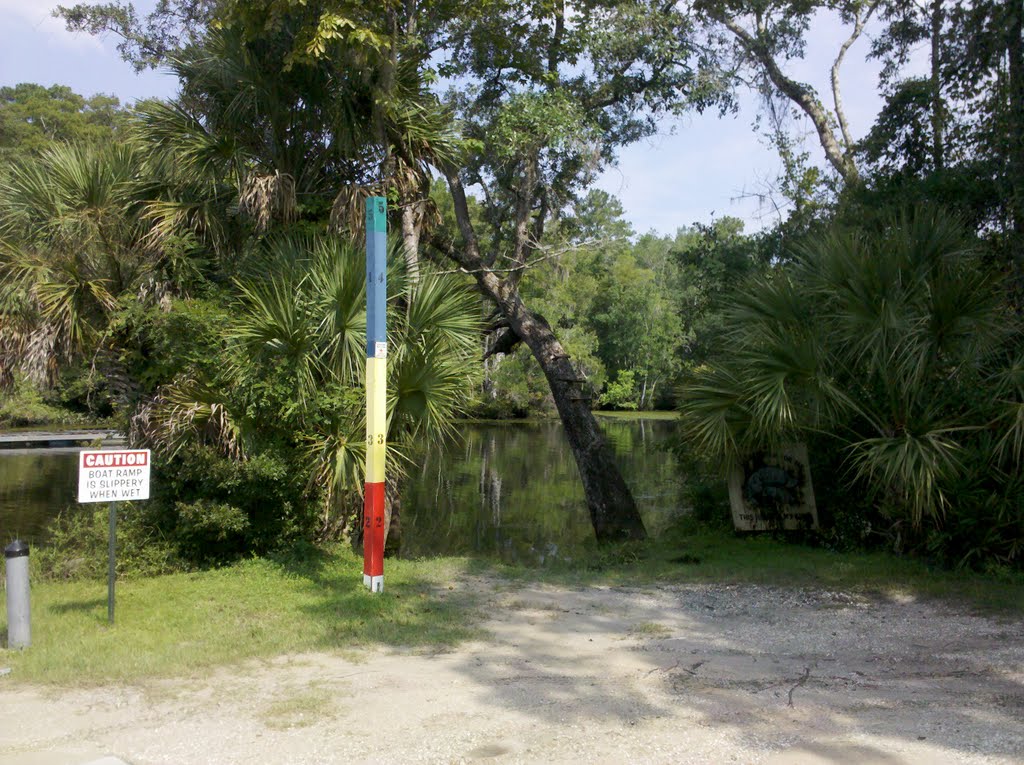 St. Marks River at Newport Park, Florida by davidhenrye