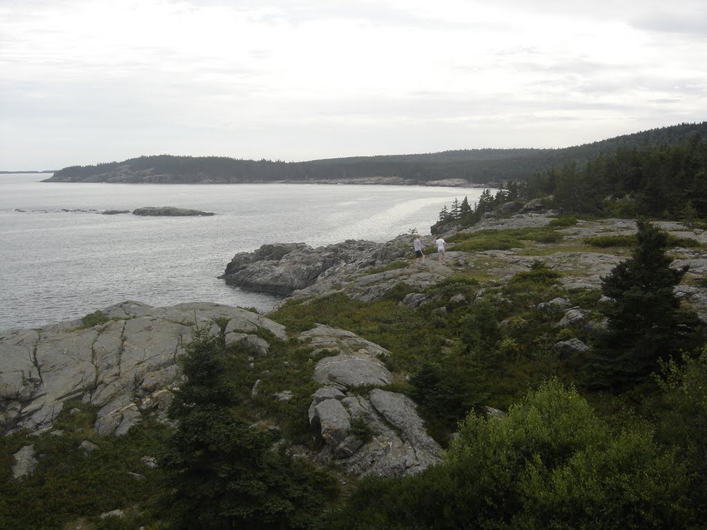 View from Great Head toward Otter Cliffs by chris1073