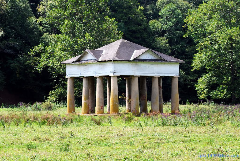 Remains of Blue Sulphur Springs Resort by Casey Richmond