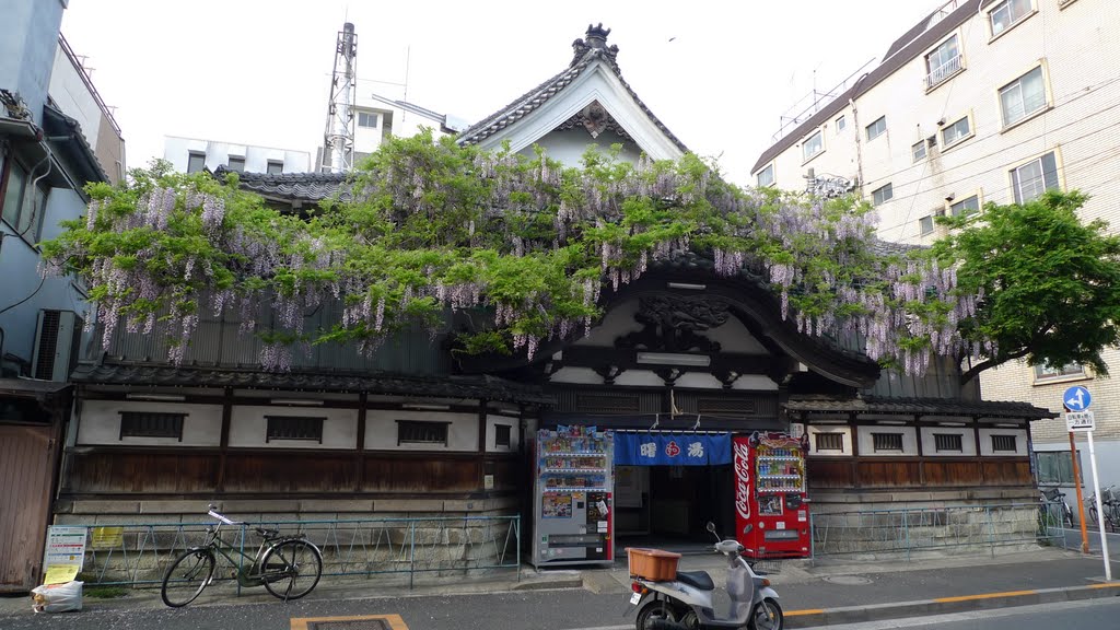 浅草曙湯で藤の花咲く by Masaru Nemoto