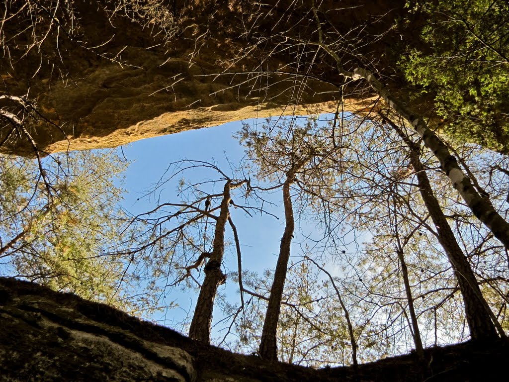 Sky Bridge of the back side (Red River Gorge, KY). by Kalin Ranchev