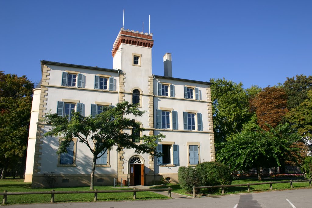 L'école de musique by ville.feyzin