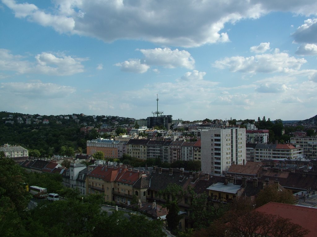 Buda from Castle Hill by Tom Liles