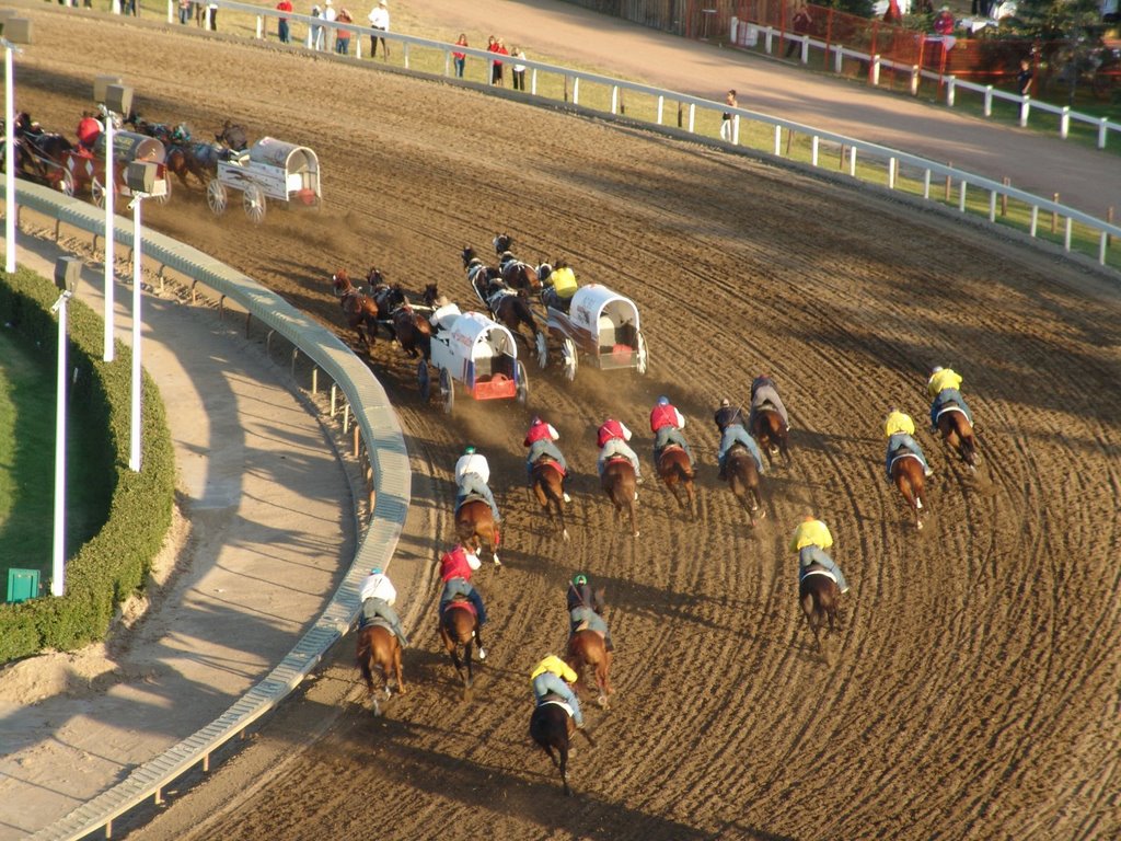 Chuckwagon Race, Stampede, Calgary, AB, Canada (July 2007) by Jan o'Sch